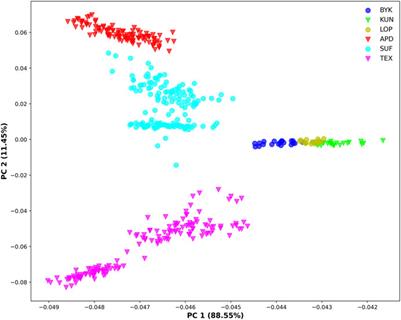 Genetic diversity, population structure, and selective signature of sheep in the northeastern Tarim Basin